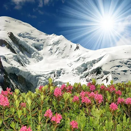 Sainte-foy-l'argentiere Sleeps 5 T454443 Appartamento